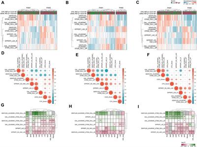 Cellular abundance-based prognostic model associated with deregulated gene expression of leukemic stem cells in acute myeloid leukemia